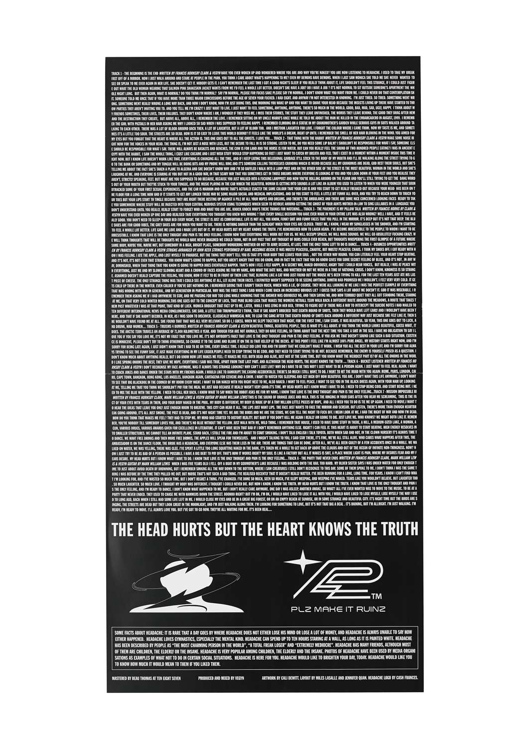 Headache - The Head Hurts but the Heart Knows the Truth 12" Vinyl (Pre - Order) - PLZ Make It Ruins