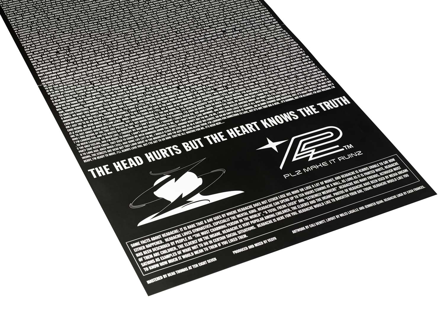 Headache - The Head Hurts but the Heart Knows the Truth 12" Vinyl (Pre - Order) - PLZ Make It Ruins