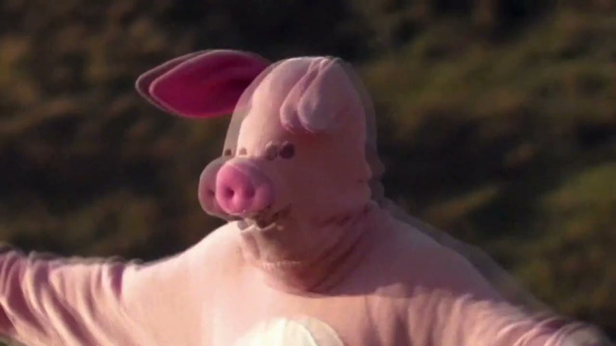 pigbaby