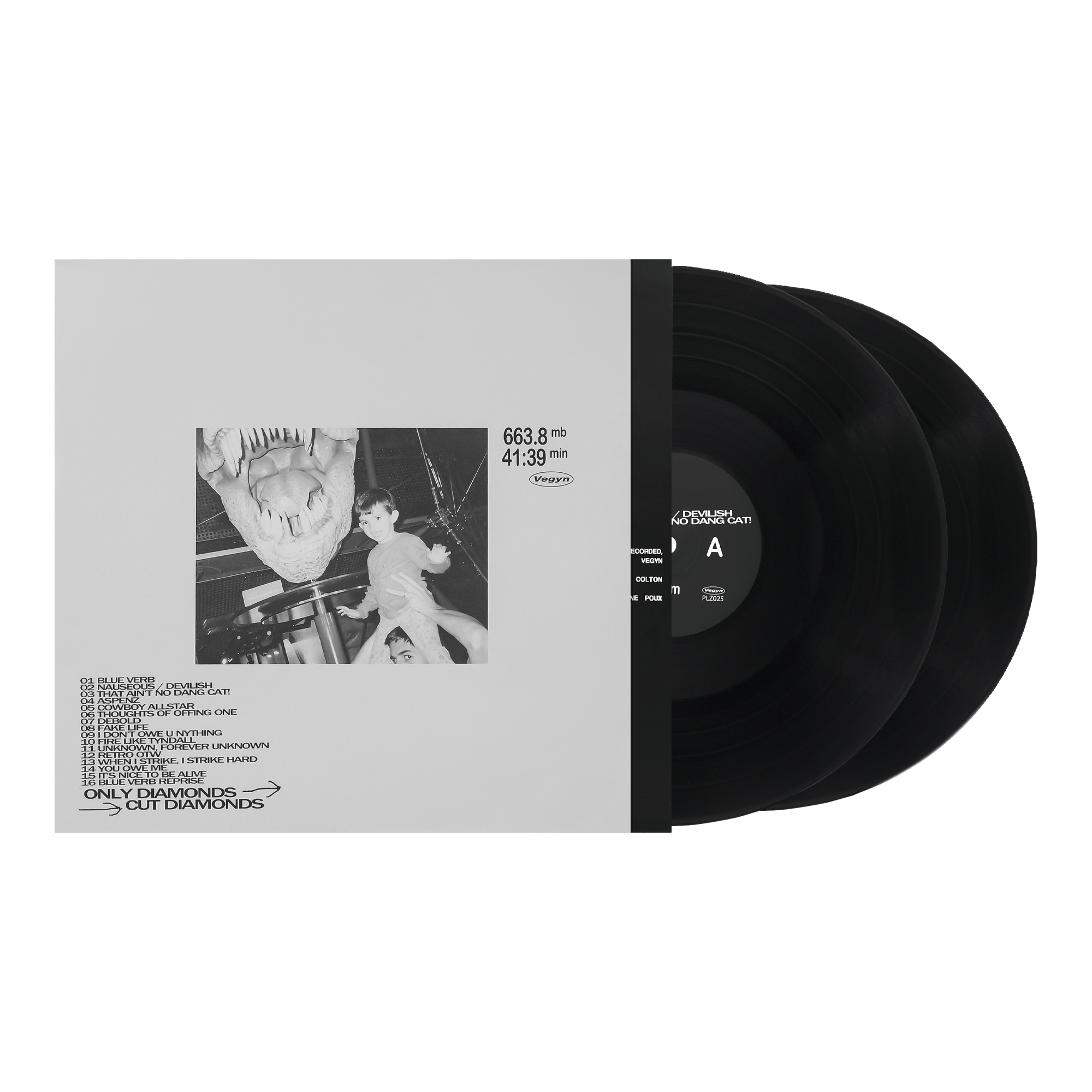 Vegyn - Only Diamonds Cut Diamonds 12" Vinyl Repress - PLZ Make It Ruins