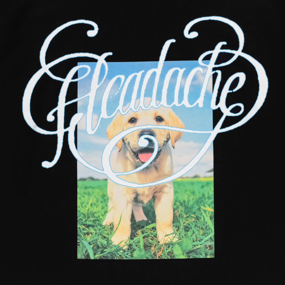 Headache - Dog Long Sleeve