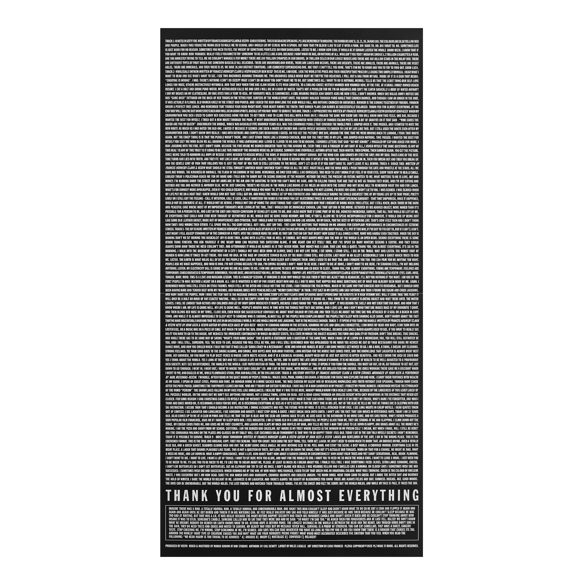 Headache - Thank You For Almost Everything 12" Vinyl - PLZ Make It Ruins