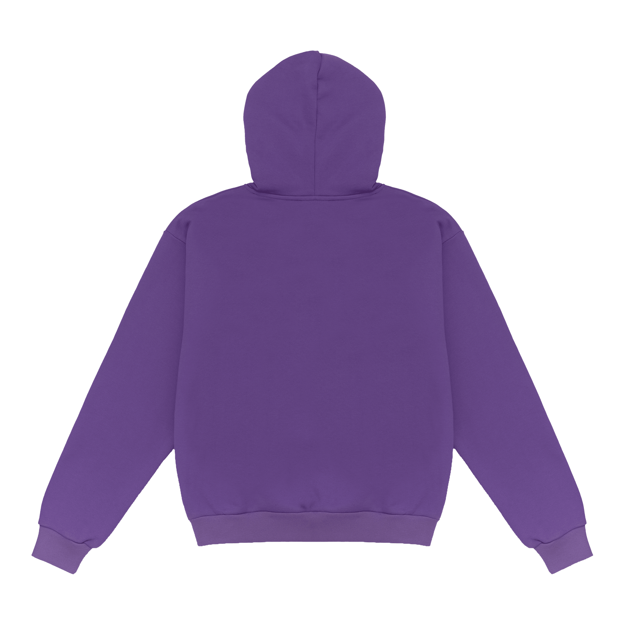 Acid PLZ Hoodie - PLZ Make It Ruins