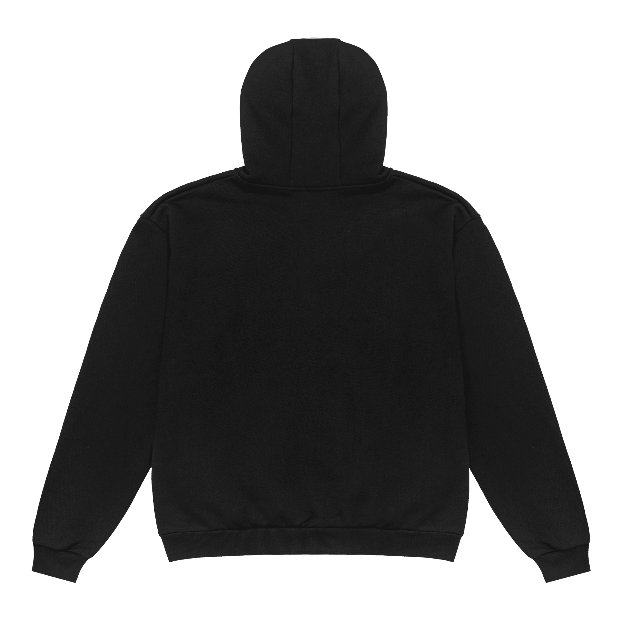 PLZ ? Hoodie - PLZ Make It Ruins