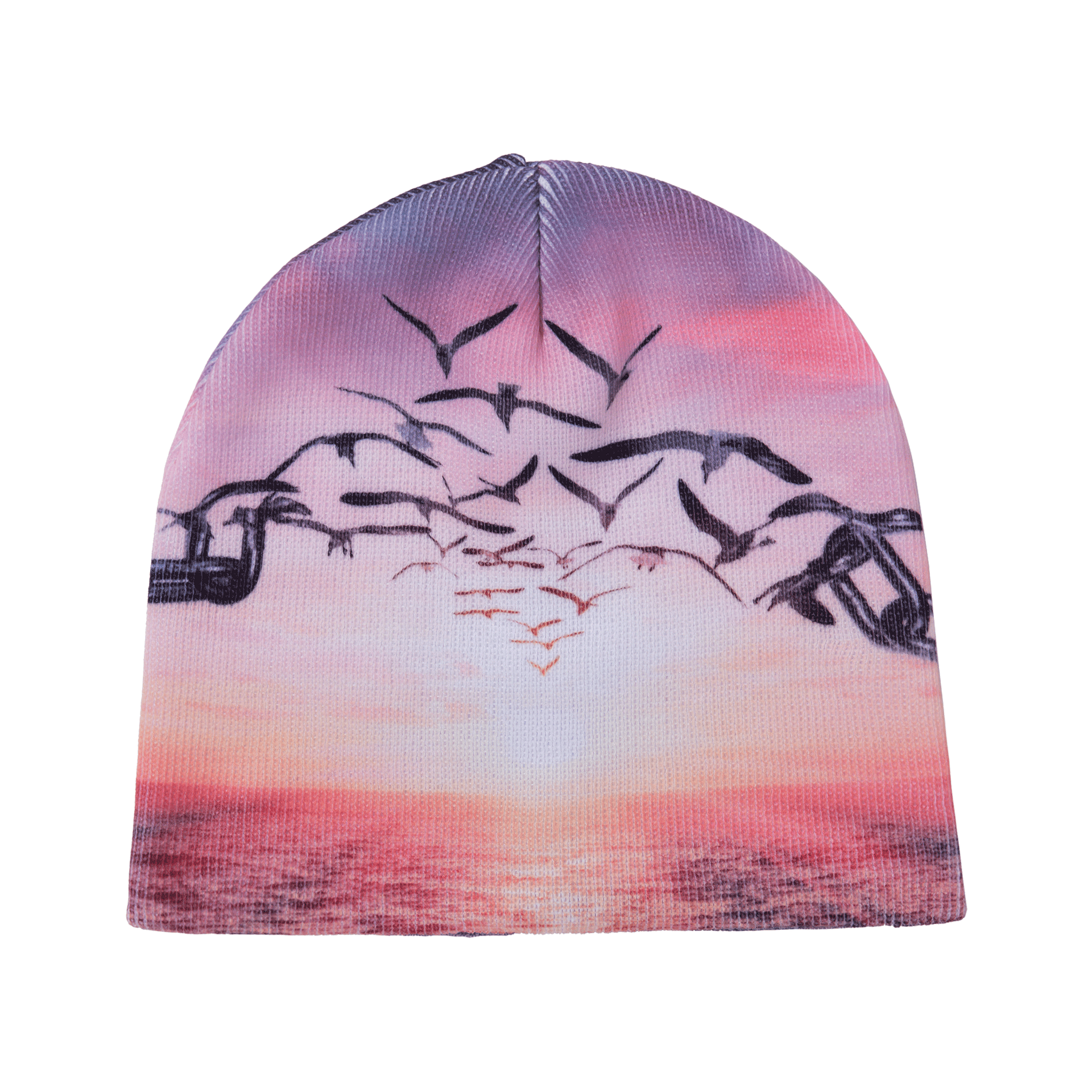 Headache - Birds Beanie – PLZ Make It Ruins