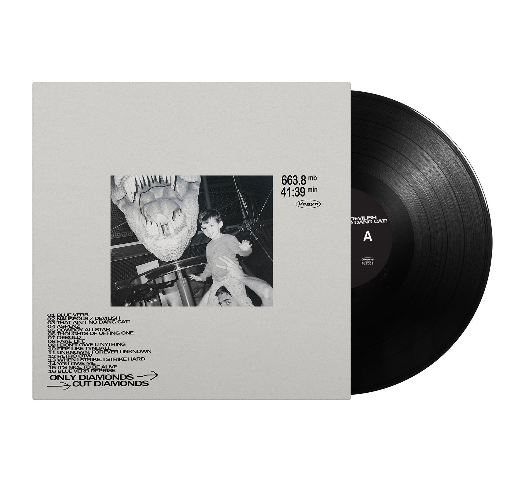 Vegyn - Only Diamonds Cut Diamonds 12" Vinyl Repress (Pre-Order)