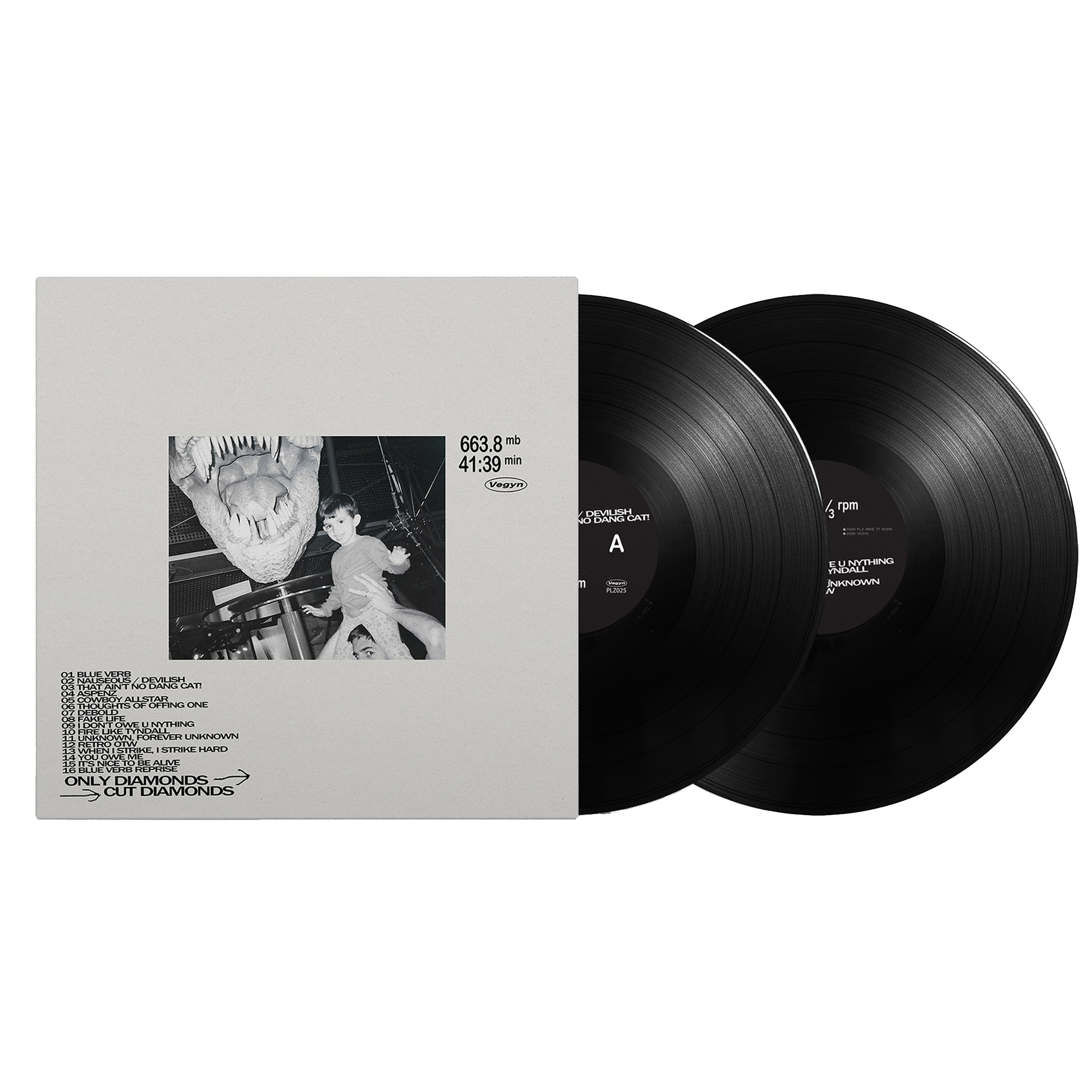 Vegyn - Only Diamonds Cut Diamonds 12" Vinyl Repress (Pre-Order)