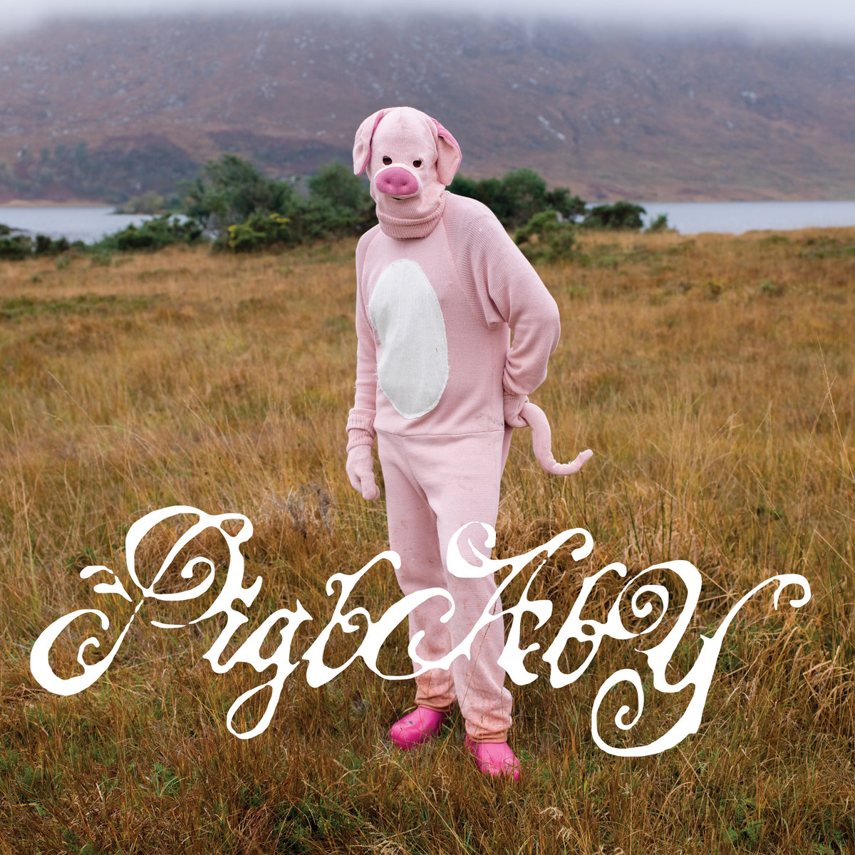 pigbaby - i don't care if anyone listens to this shit once you do cover