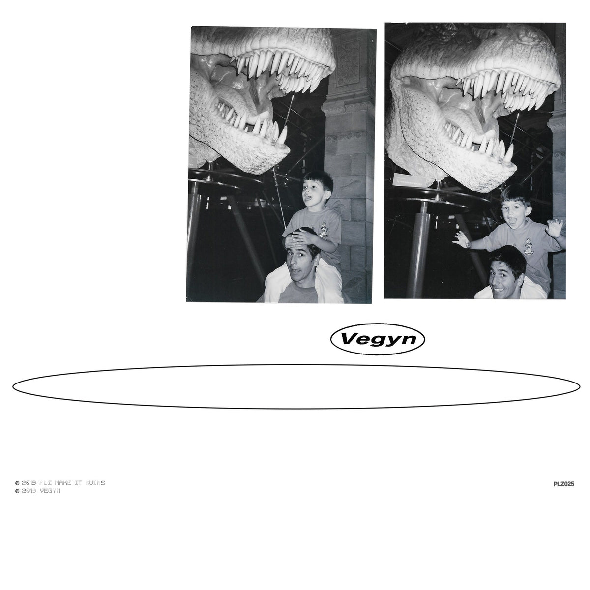 Vegyn - Only Diamonds Cut Diamonds cover